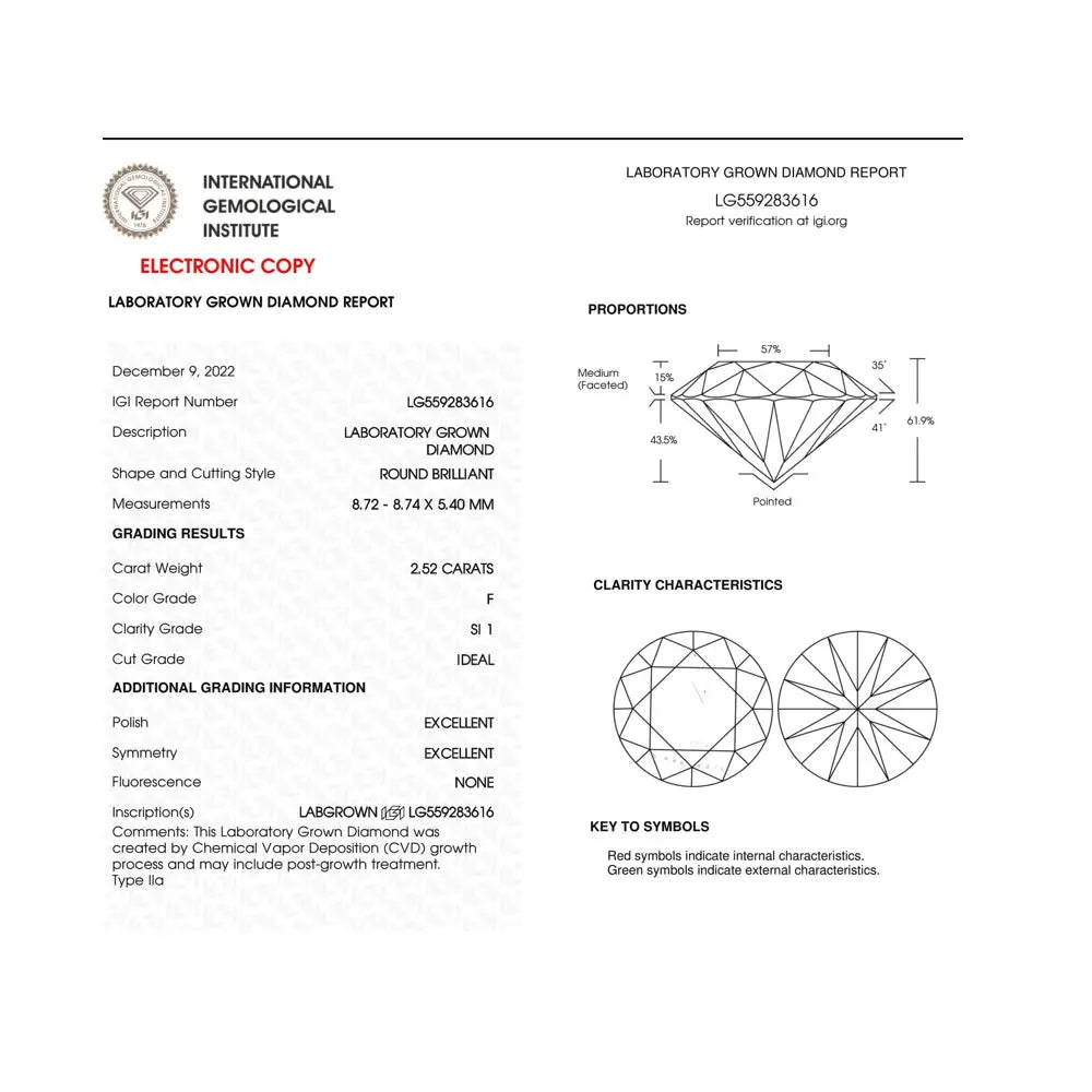 Igi Certified 14k White Gold 5.00 Cttw Round Brilliant-cut Lab Grown Diamond Classic 4-prong Stud Earrings with Screw